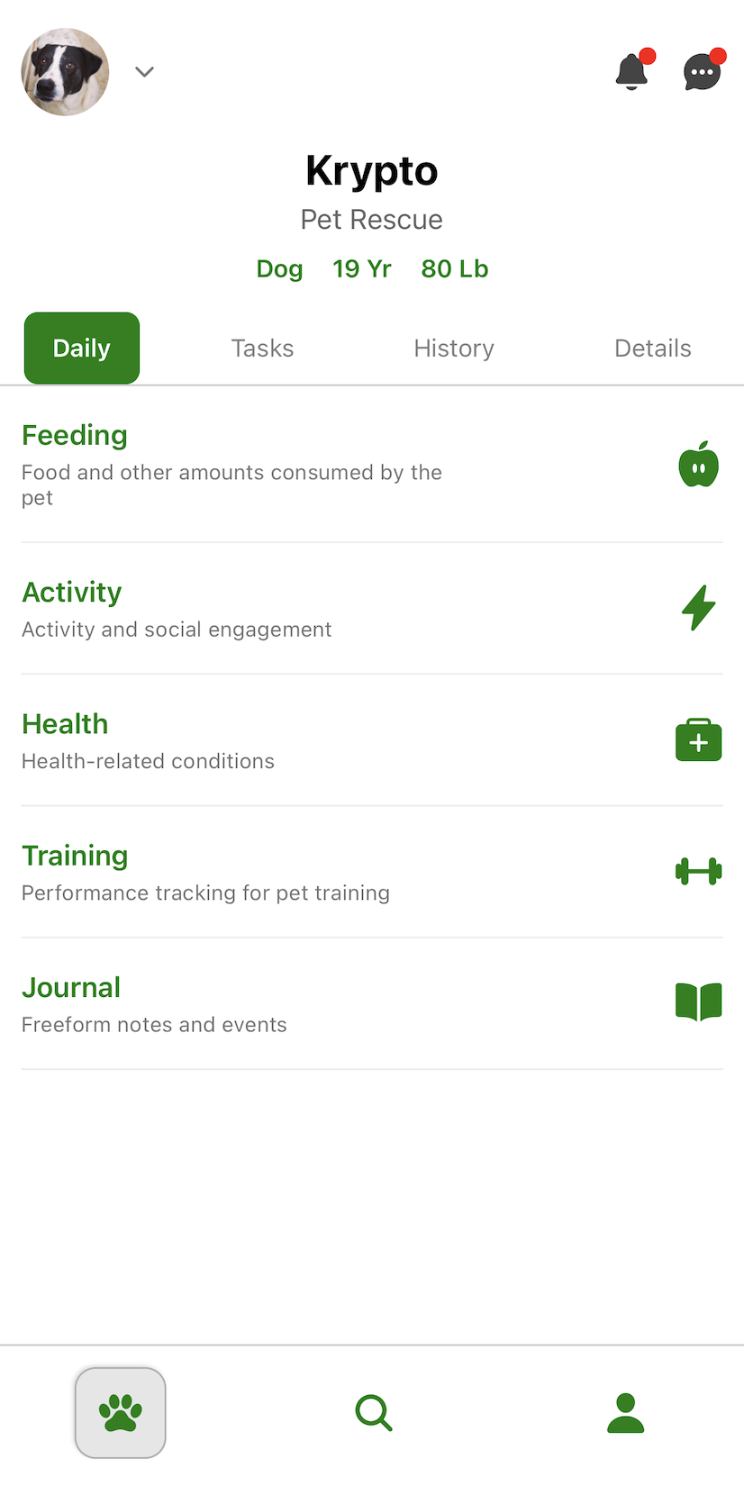 Foster Dashboard screenshot